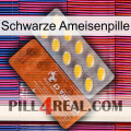 Black Ant Pill 42